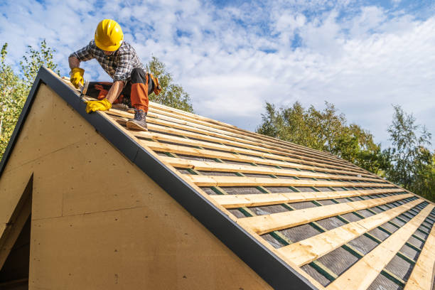 Best Roof Gutter Cleaning  in Athens, IL
