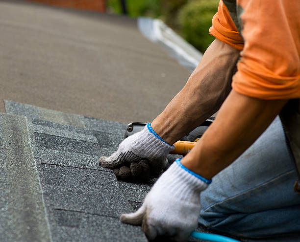 Roof Gutter Cleaning in Athens, IL